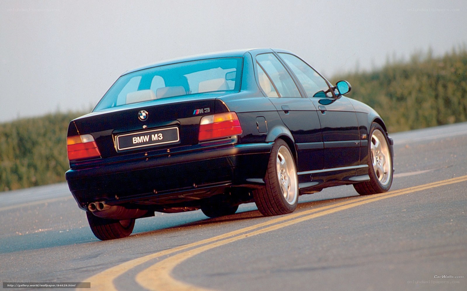 BMW M3 on a winding road