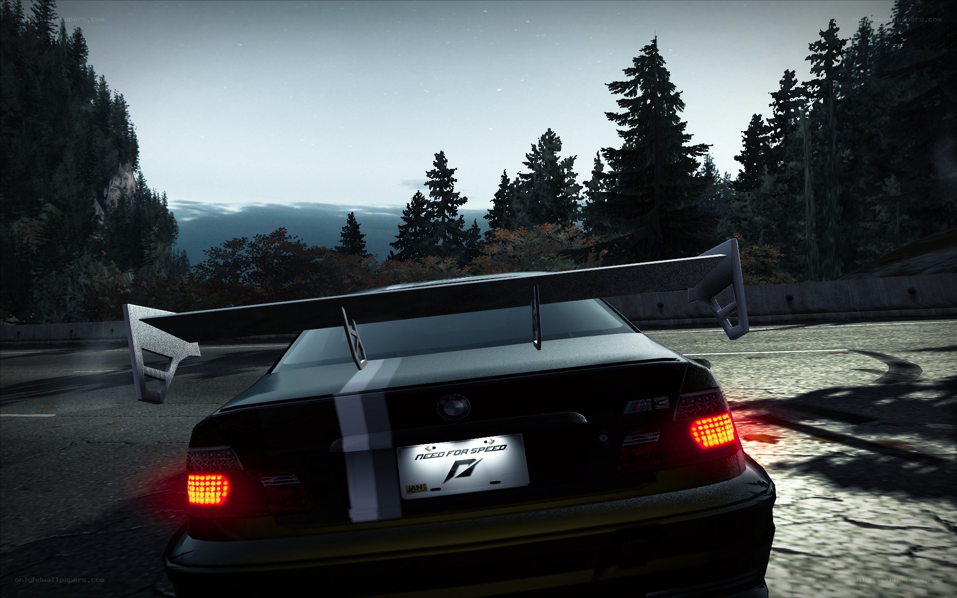 BMW M3 on forest road
