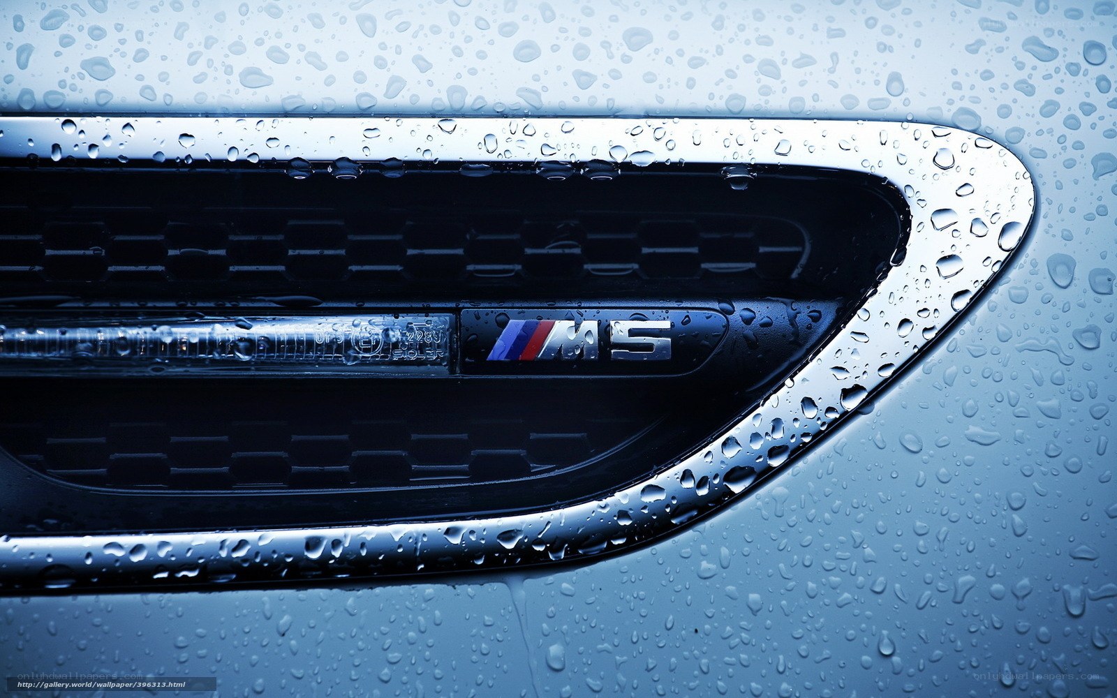 BMW M5 emblem in rain
