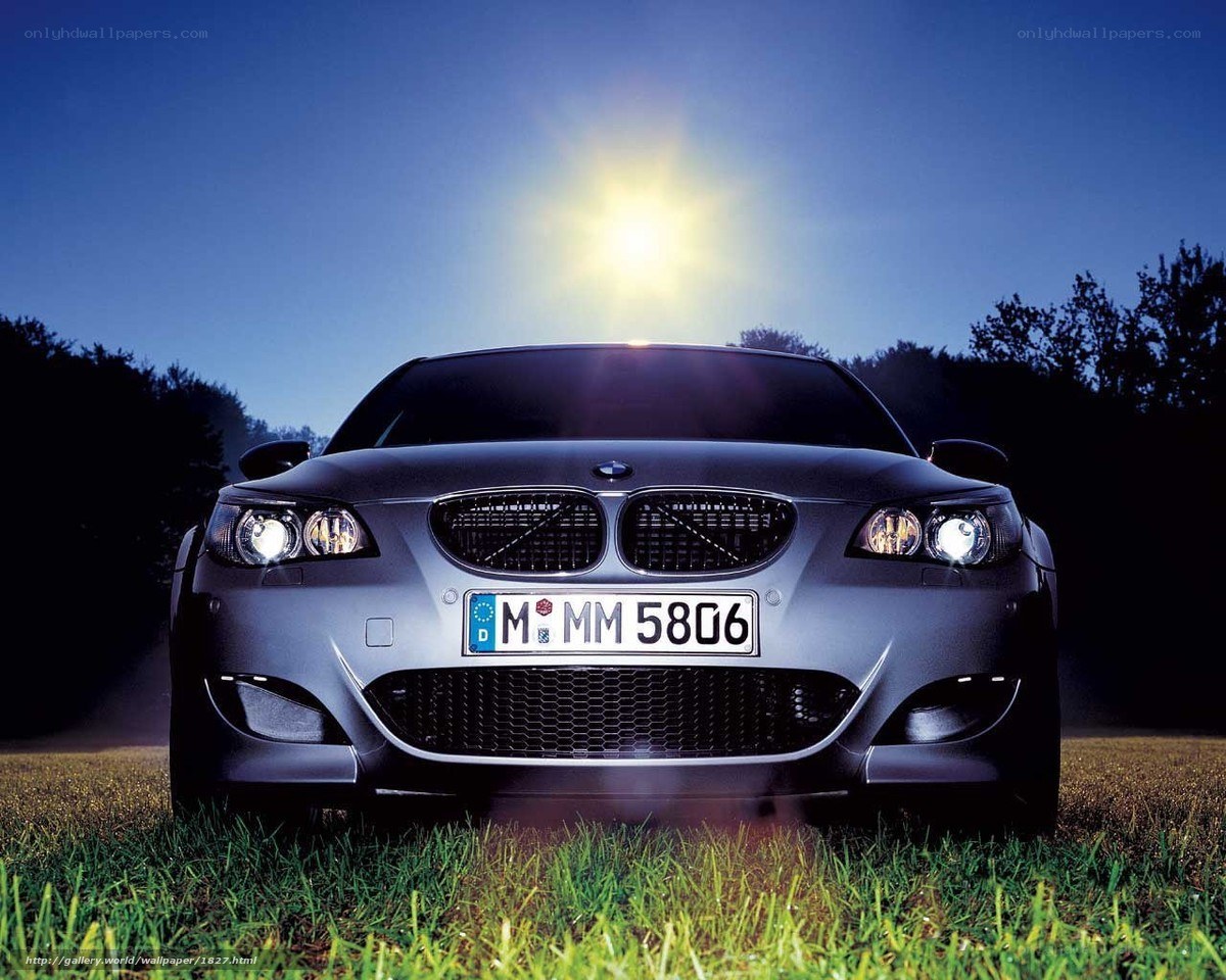 BMW M5 on grass at dusk