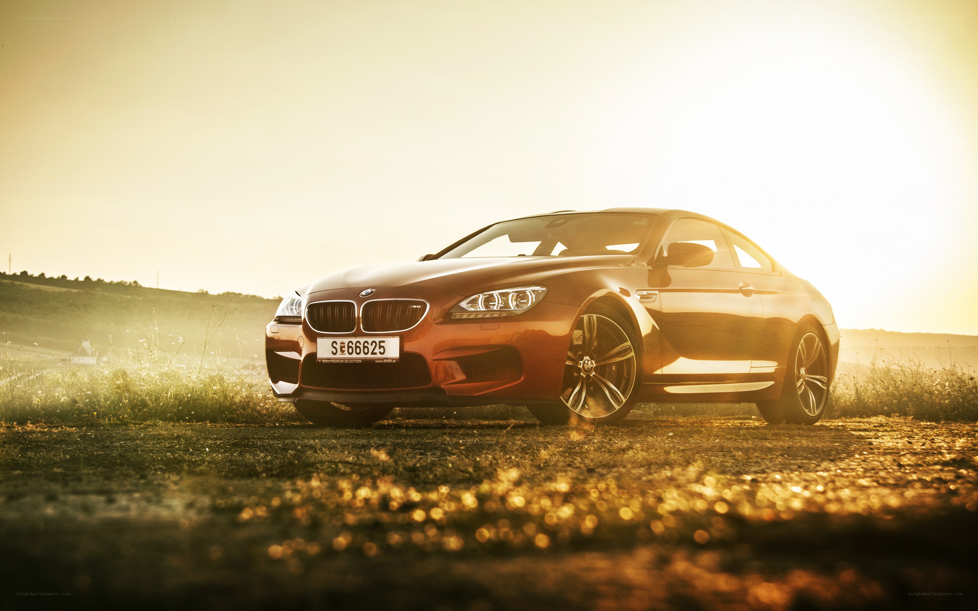 BMW M6 in golden light