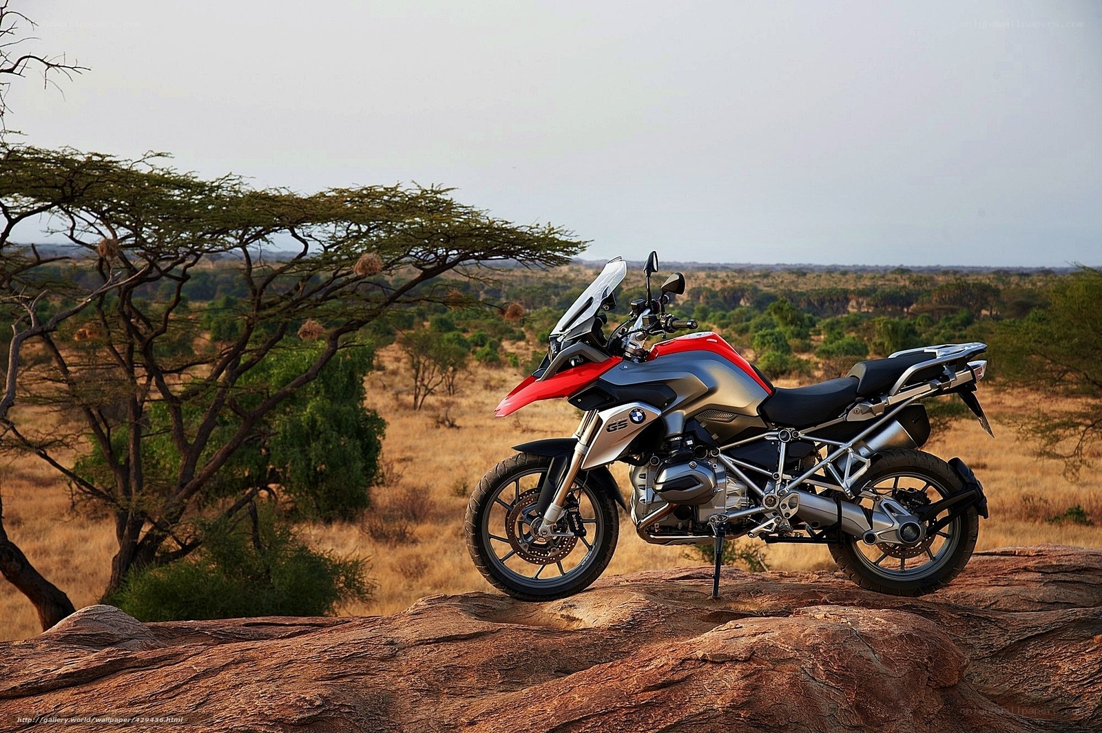 BMW motorcycle in savanna
