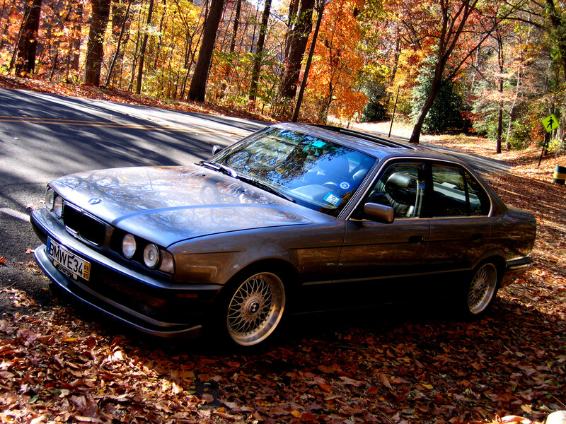 BMW sedan in autumn forest