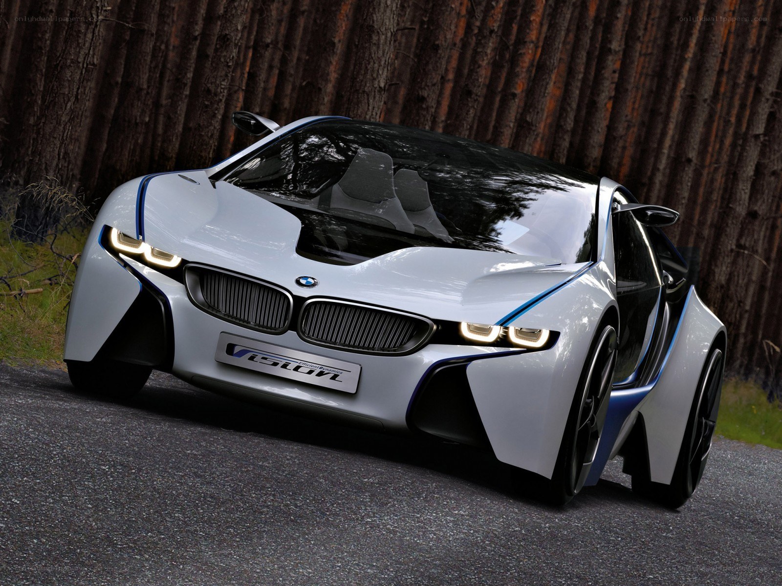 BMW Vision Concept Car