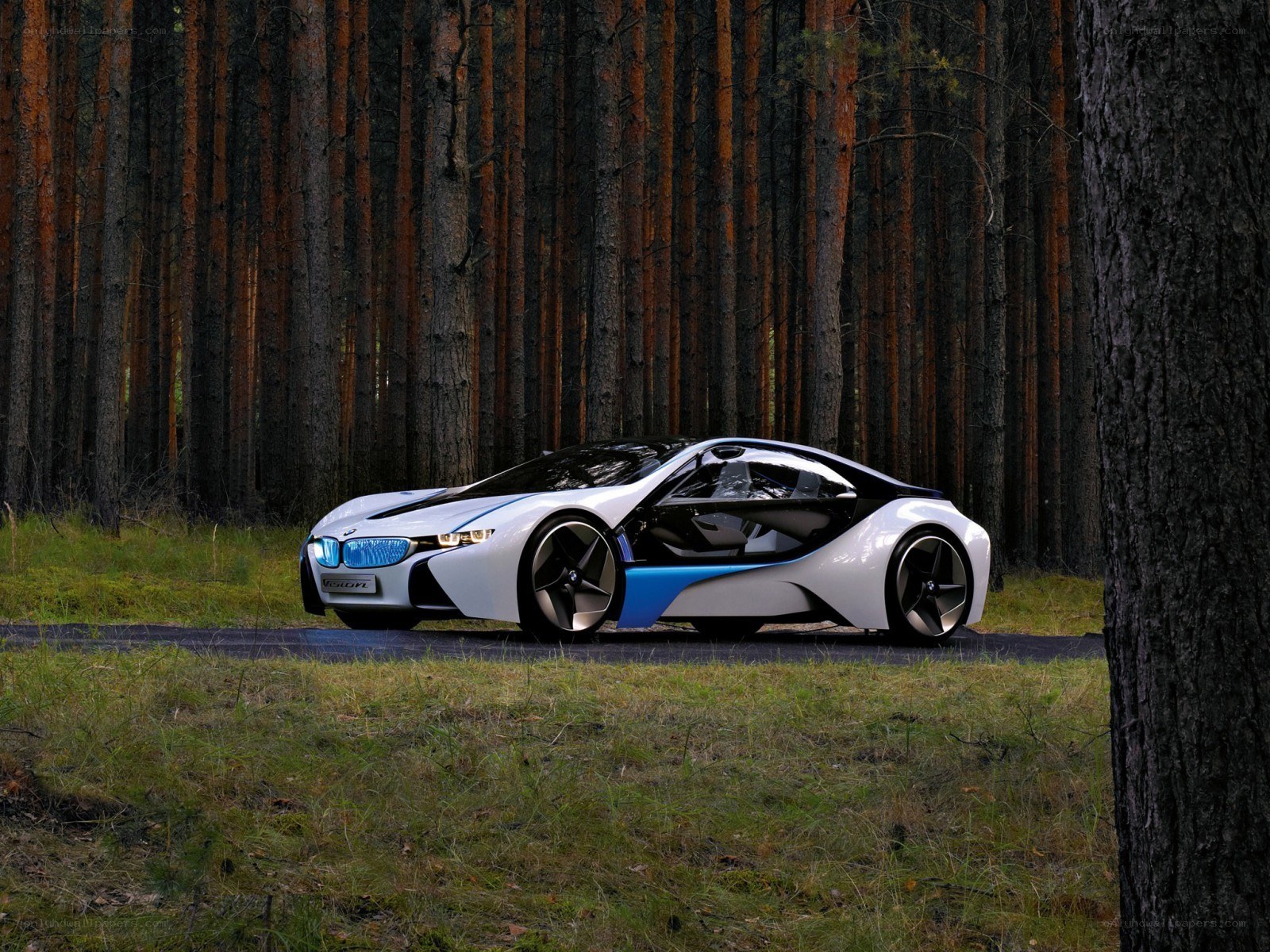 BMW Vision concept car in forest
