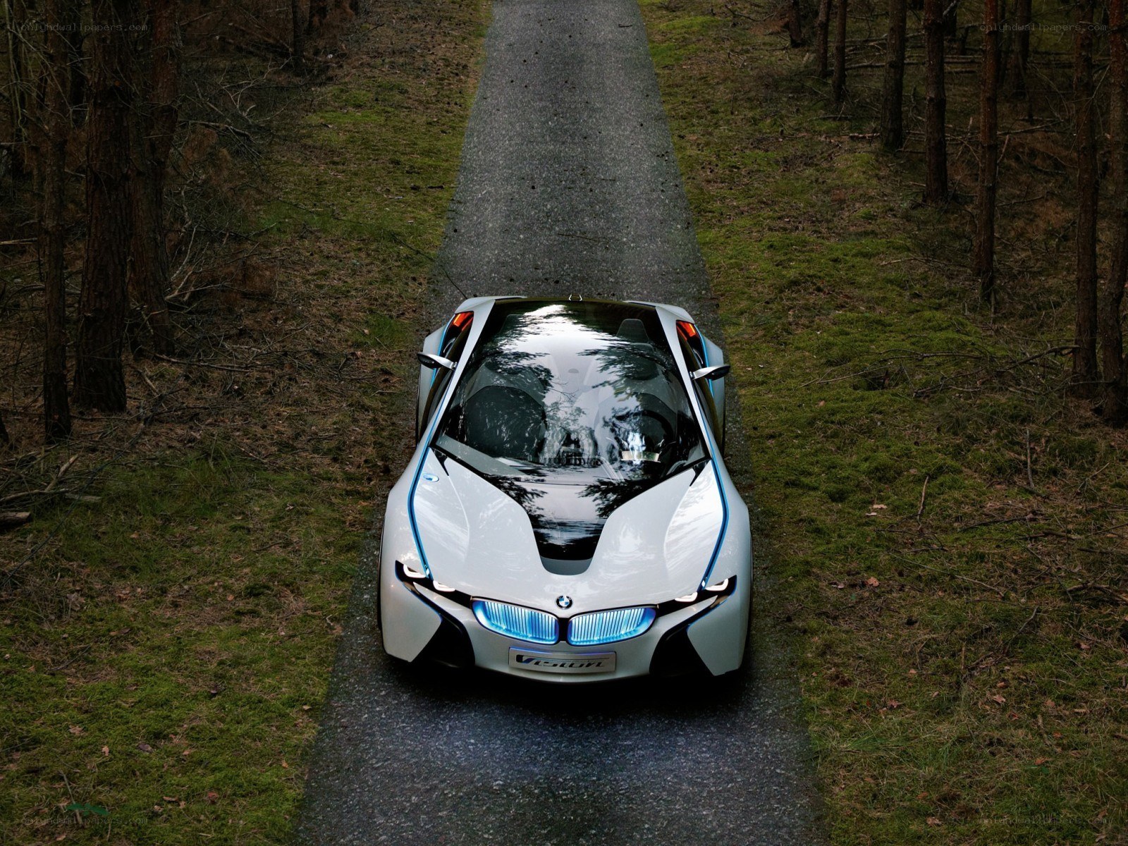 BMW Vision Concept in forest