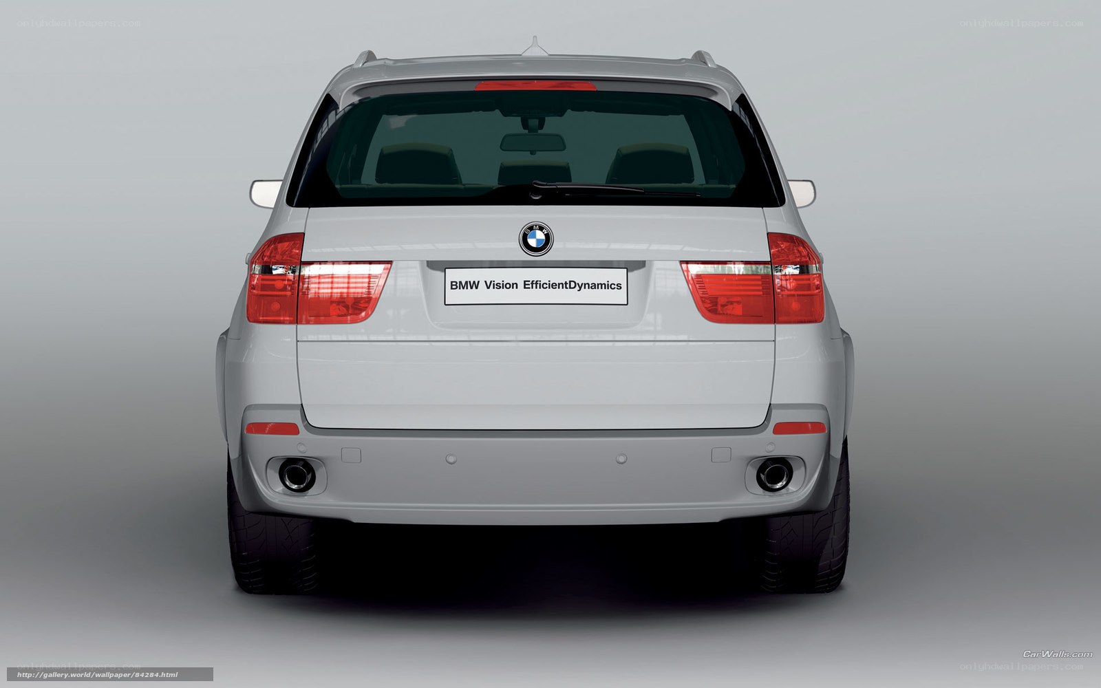 BMW X5 rear view
