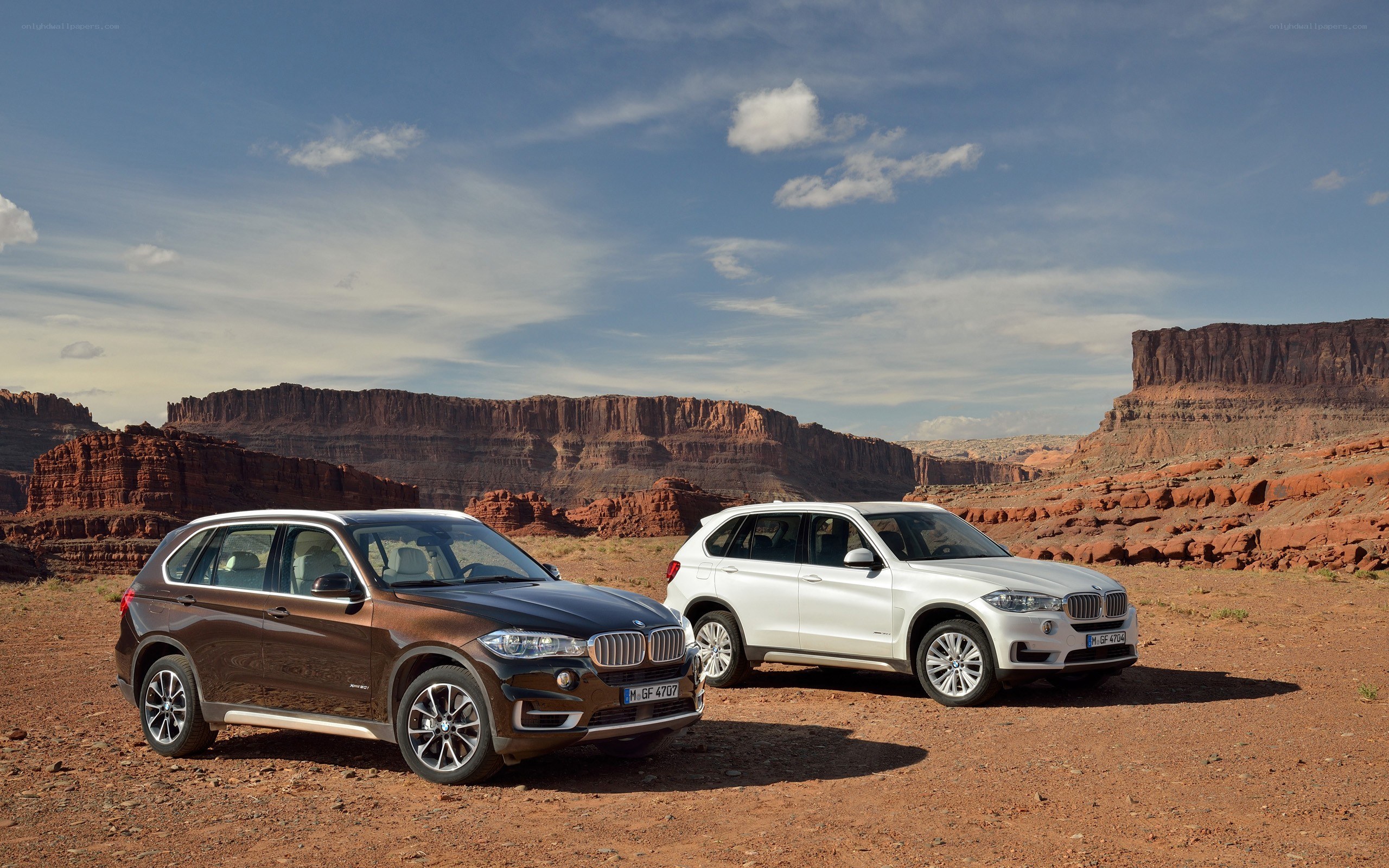 BMW X5 SUVs in desert