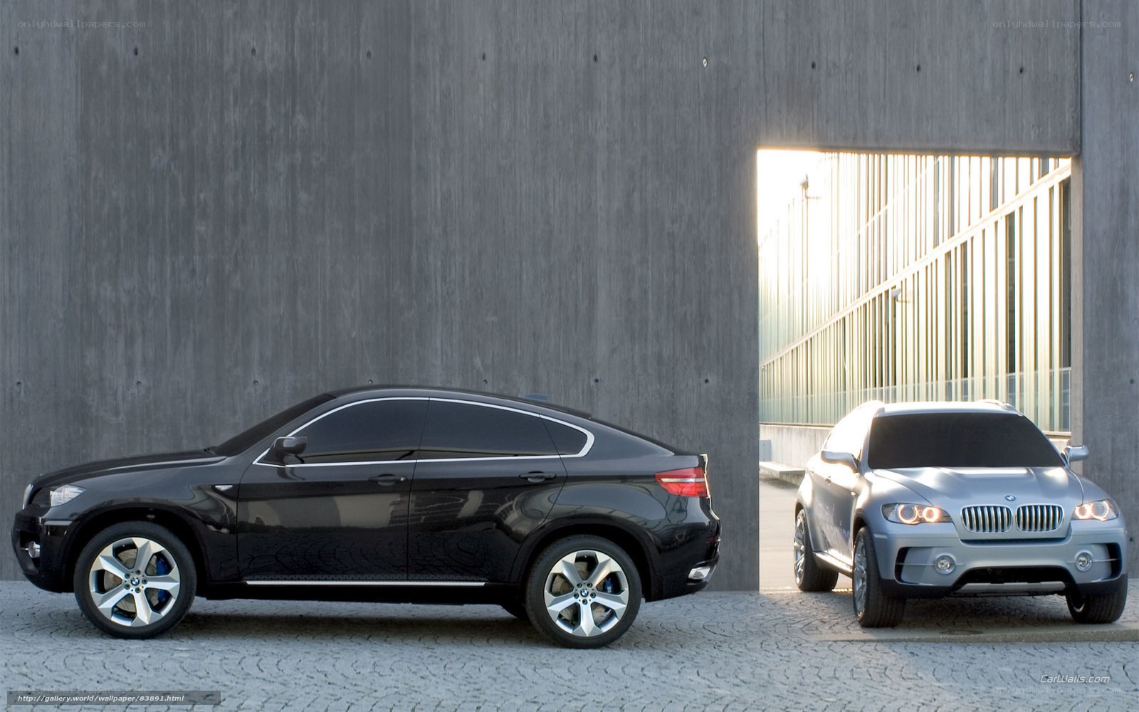 BMW X6 and X6 Concept