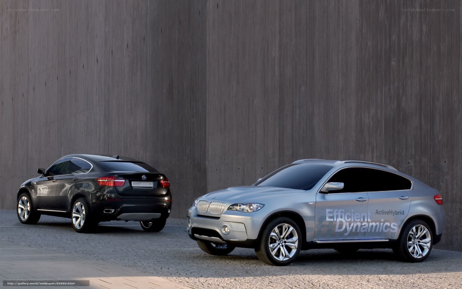 BMW X6 concept cars