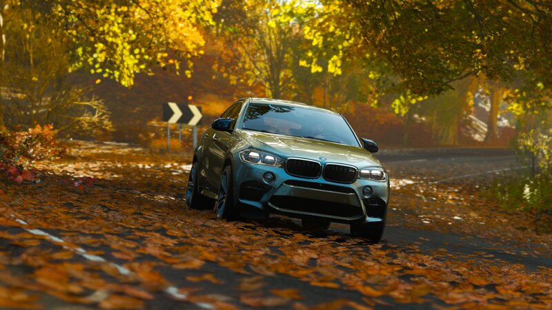 BMW X6 M on Leaf-covered Road
