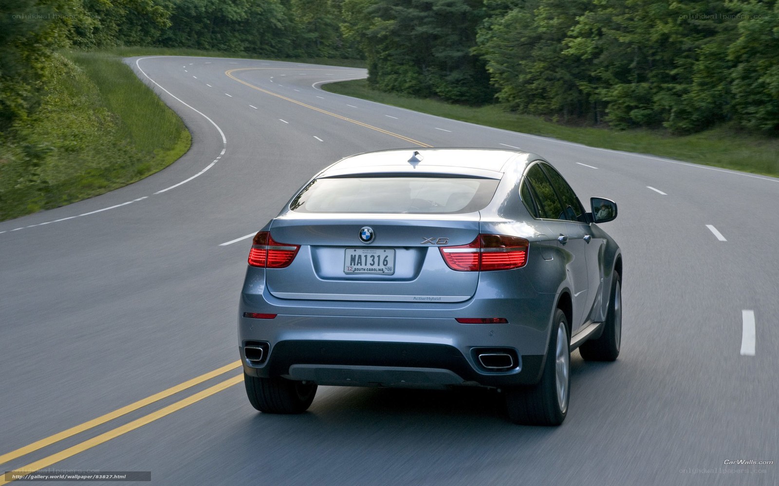 BMW X6 on a winding road