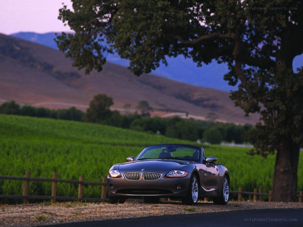 BMW Z4 in a vineyard
