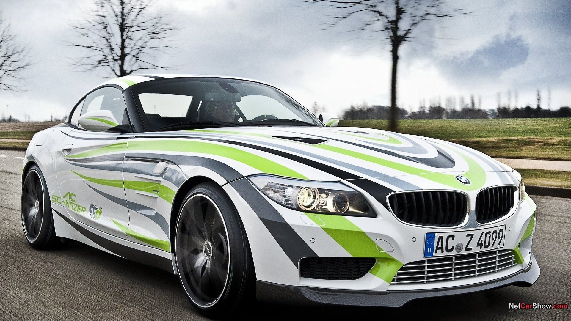 BMW Z4 with custom livery