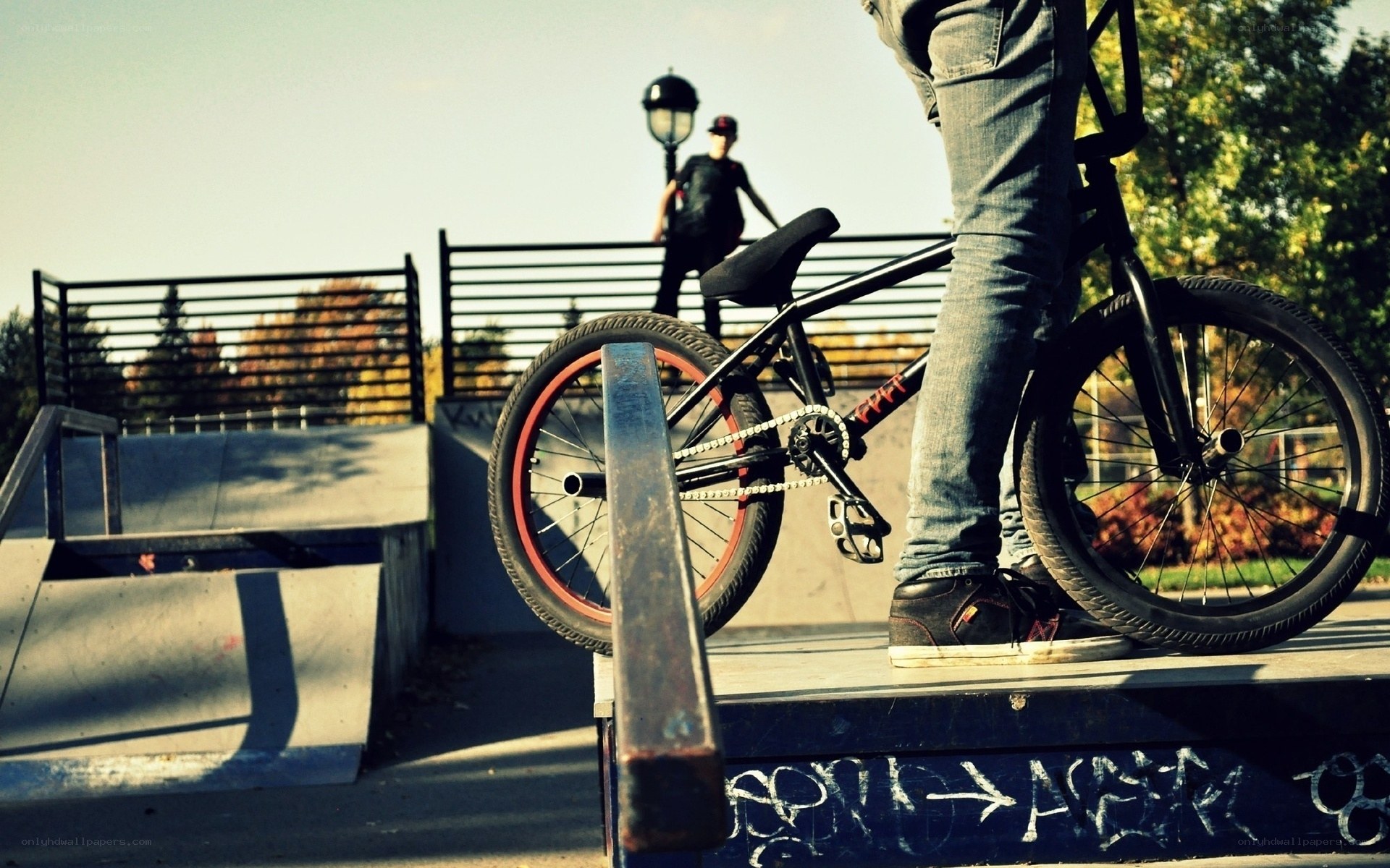 BMX rider at a skatepark