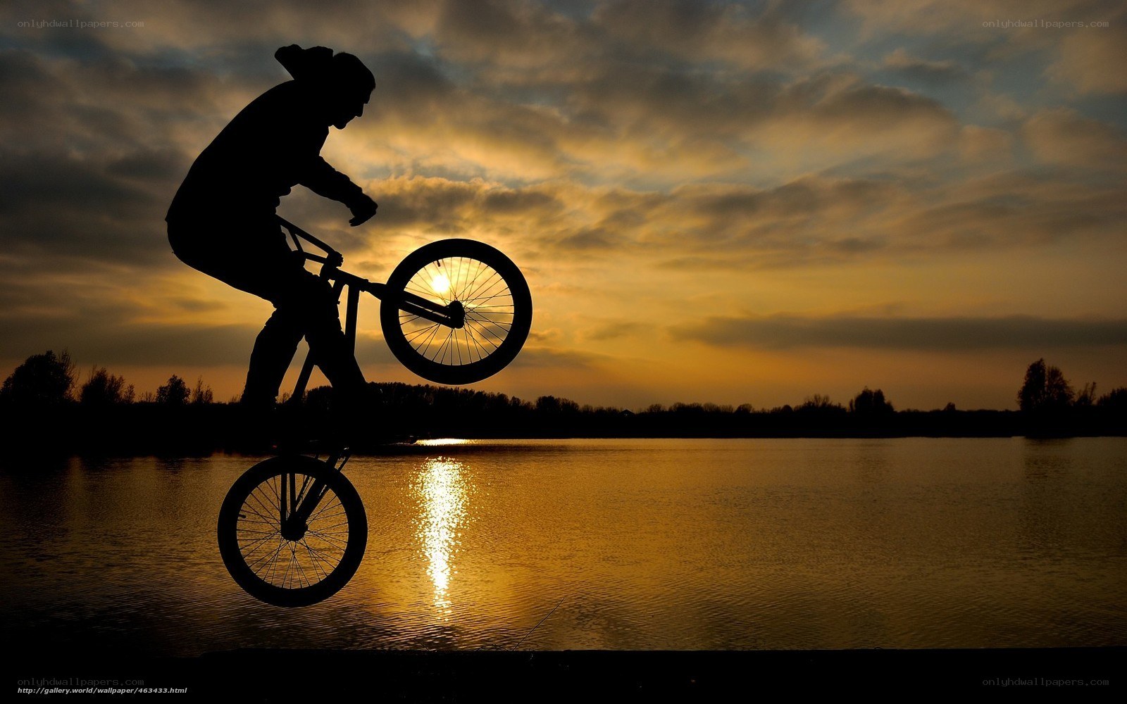 BMX rider at sunset