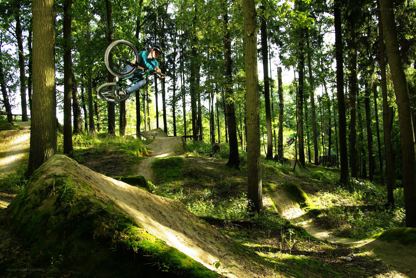 BMX rider in forest park