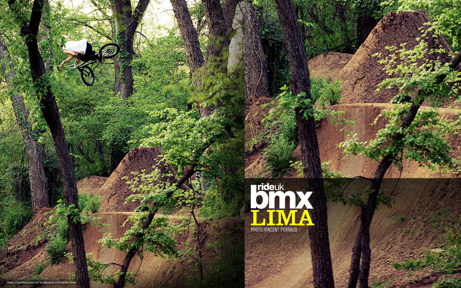 BMX rider in forest