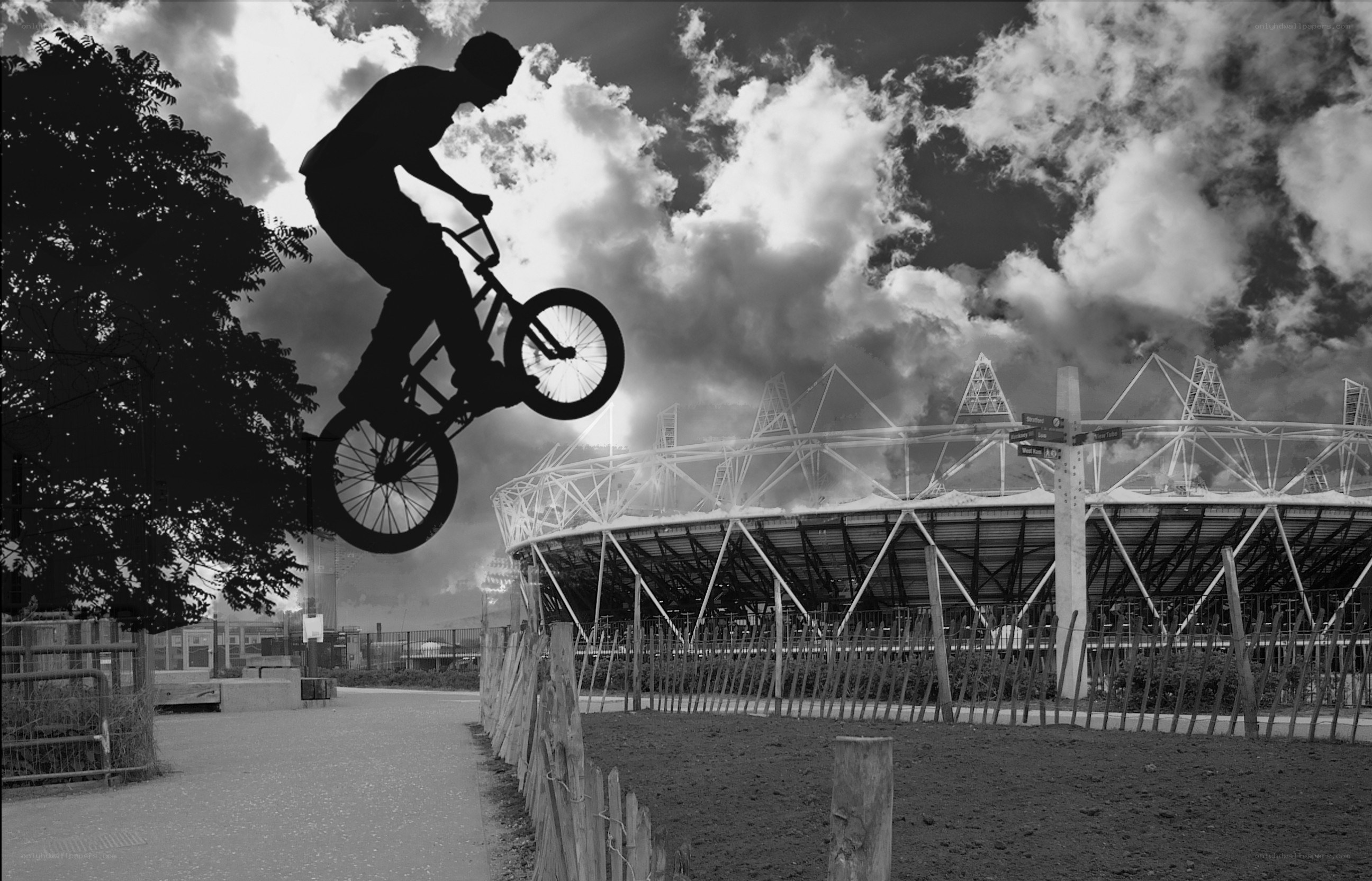 BMX rider in silhouette
