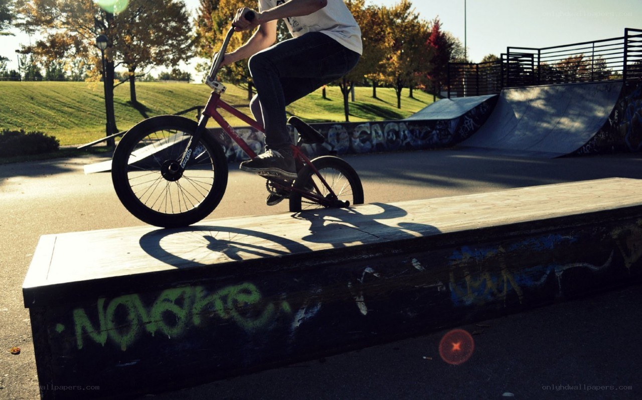 BMX rider on a rail