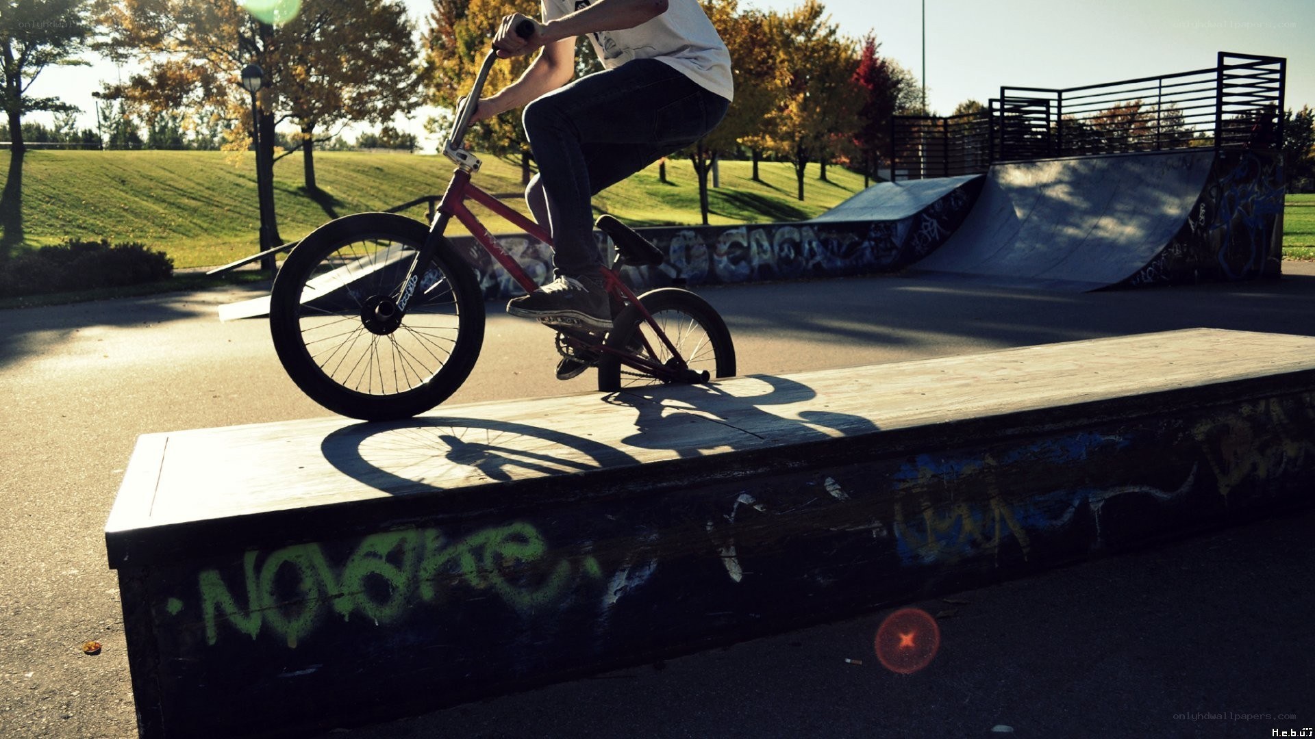 BMX rider on a rail