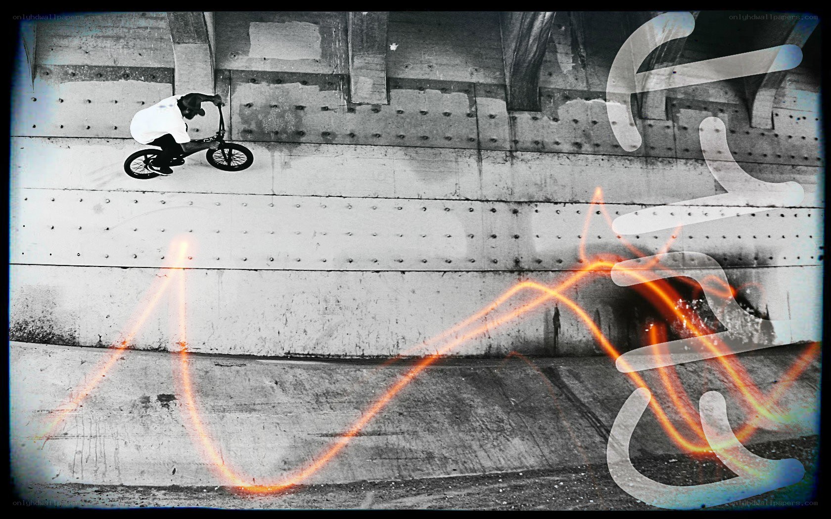 BMX rider on concrete wall