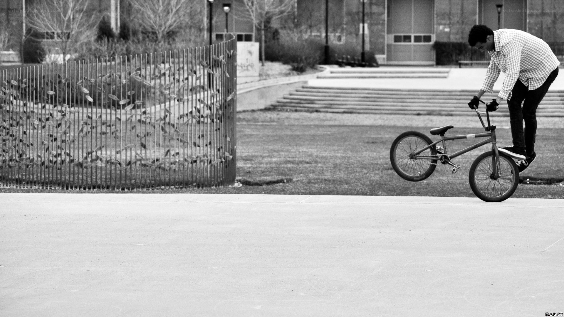 BMX rider performing trick