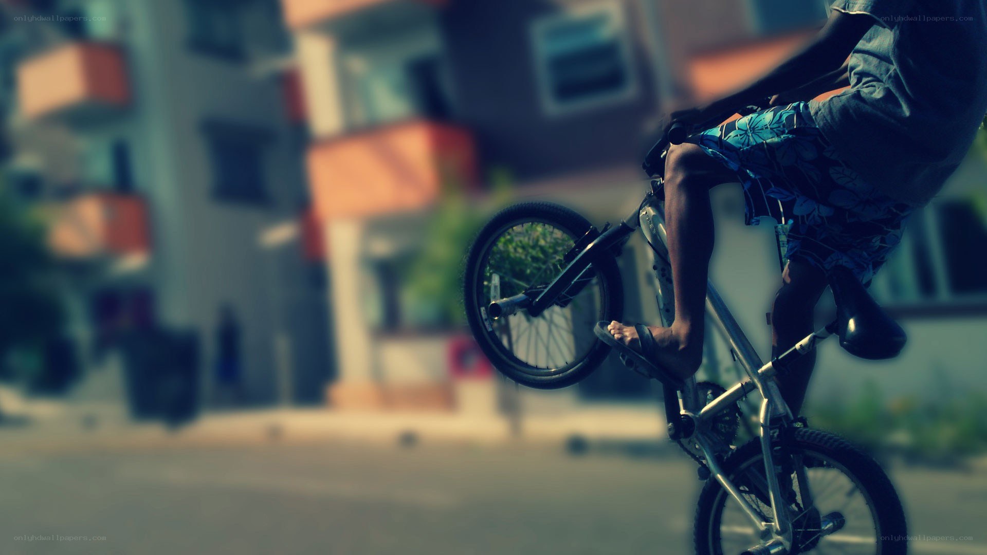 BMX rider performing trick