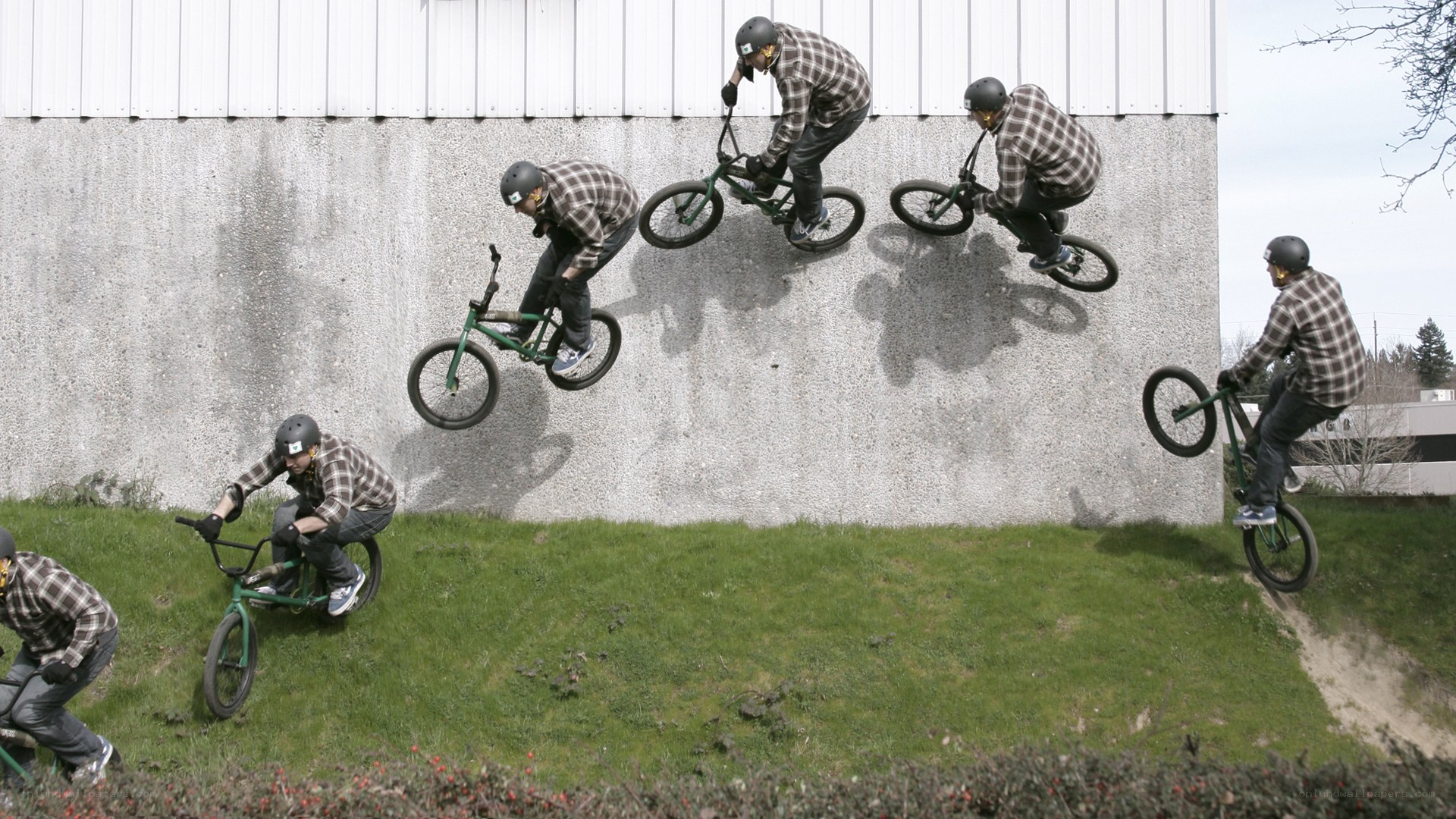 BMX rider performing wall ride
