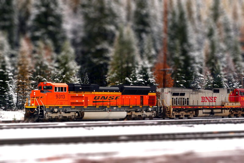 BNSE train in snowy forest