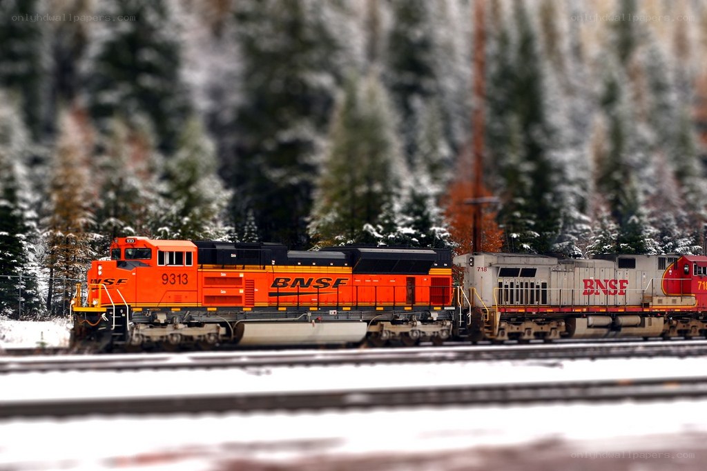BNSE train in snowy forest