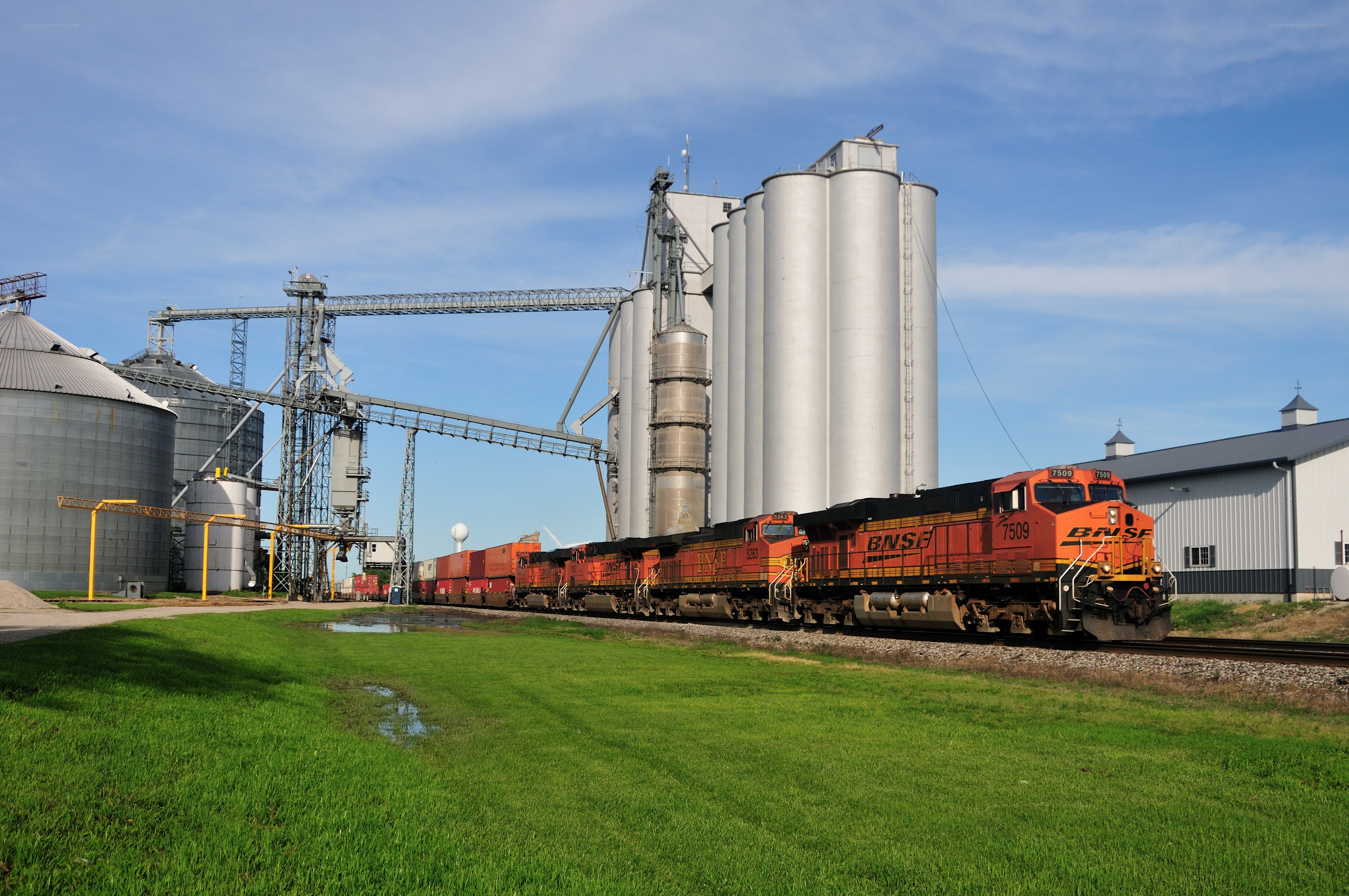 BNSF train at grain elevator
