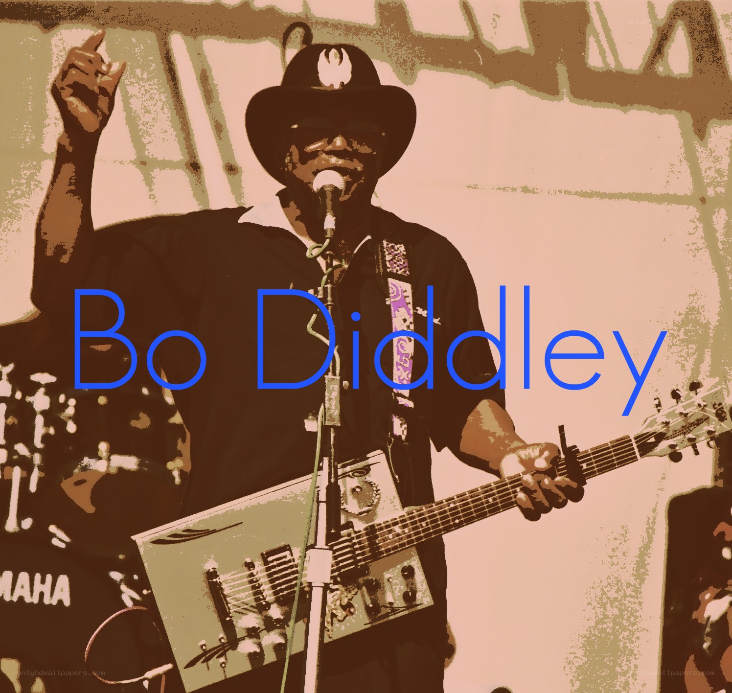 Bo Diddley performing on stage