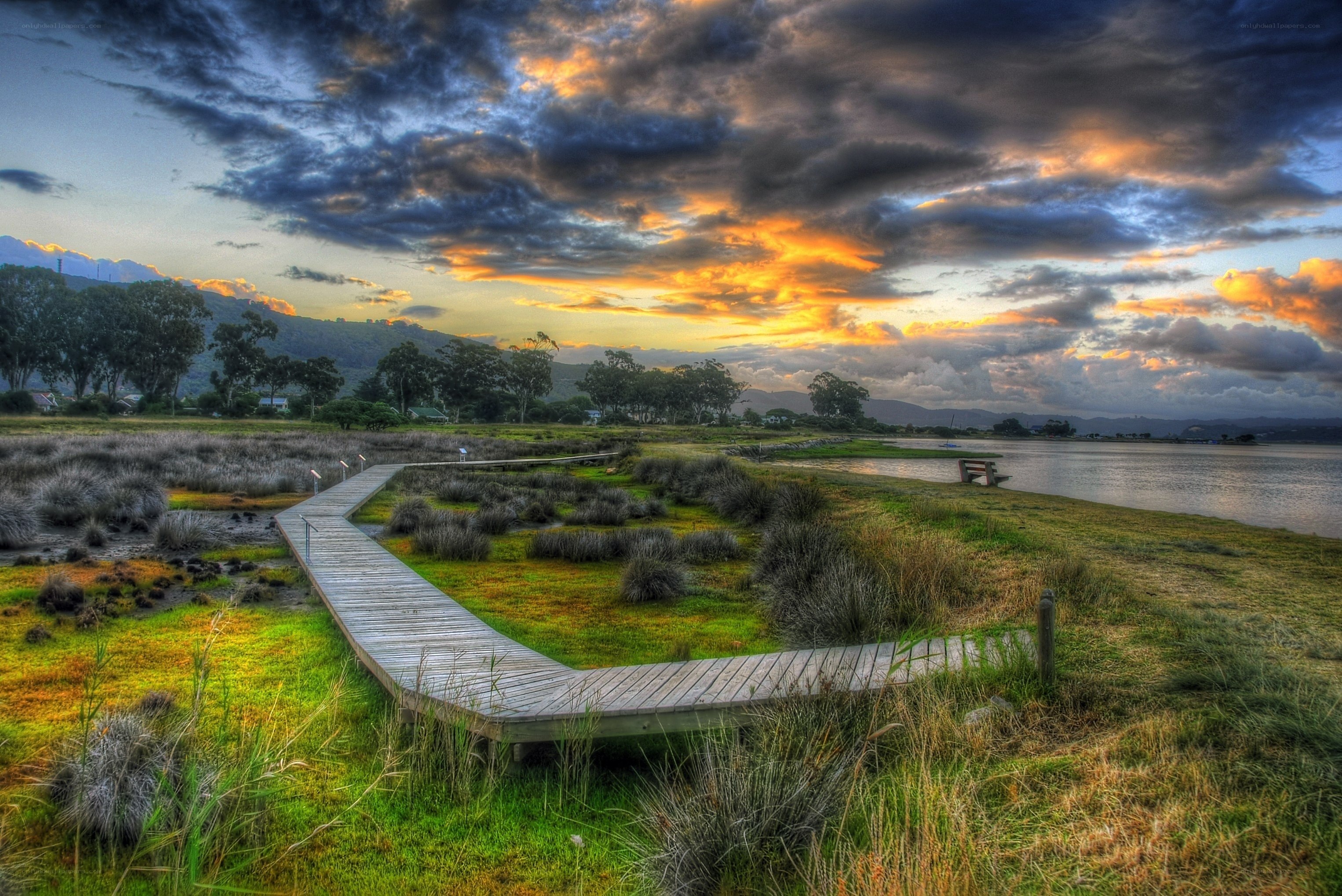 Boardwalk at sunset over wetlands