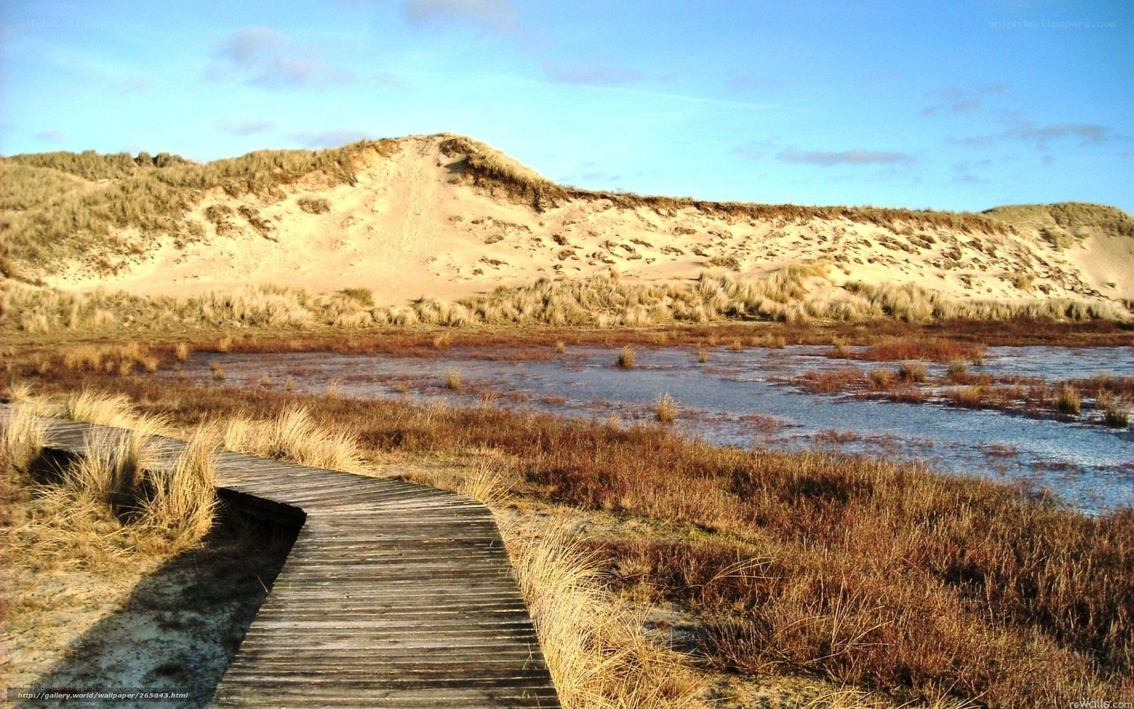 Boardwalk through coastal marsh