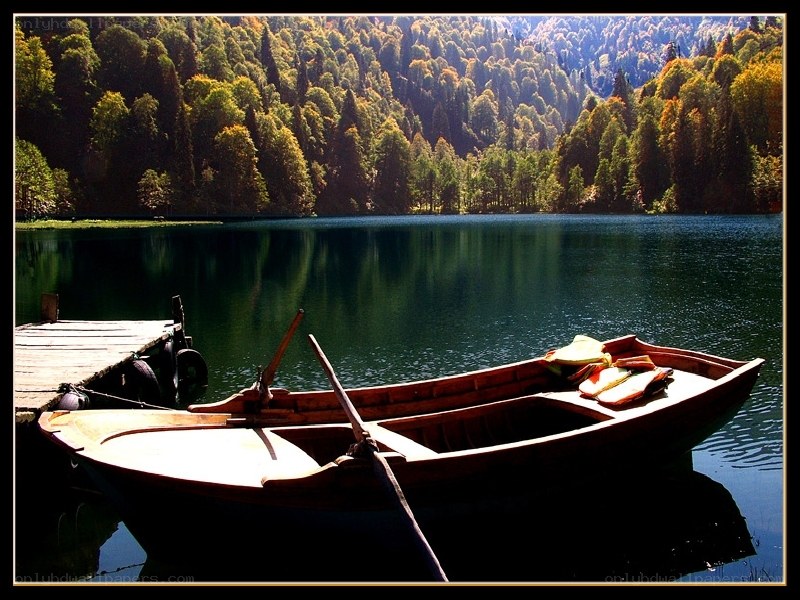 Boat at a forested lake