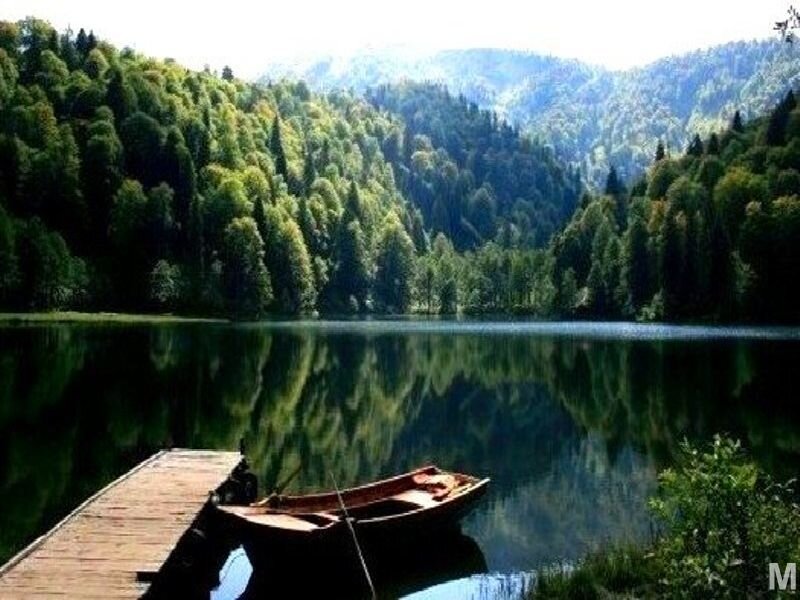 Boat at a forested lake