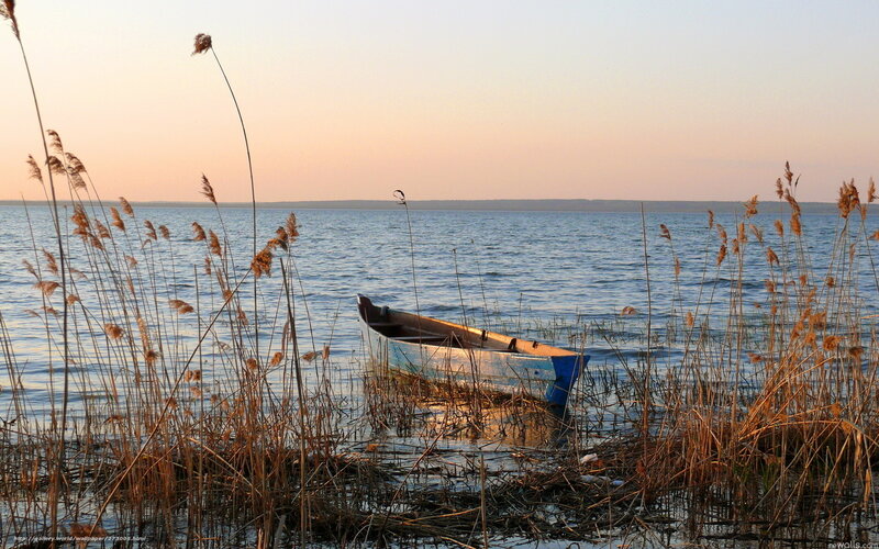 Boat at sunset in reeds