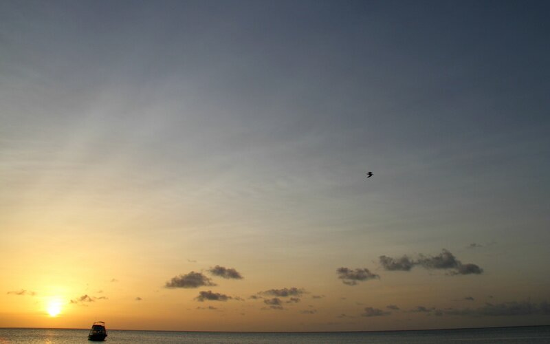 Boat at Sunset — Orange, Serene, Photograph, Bird