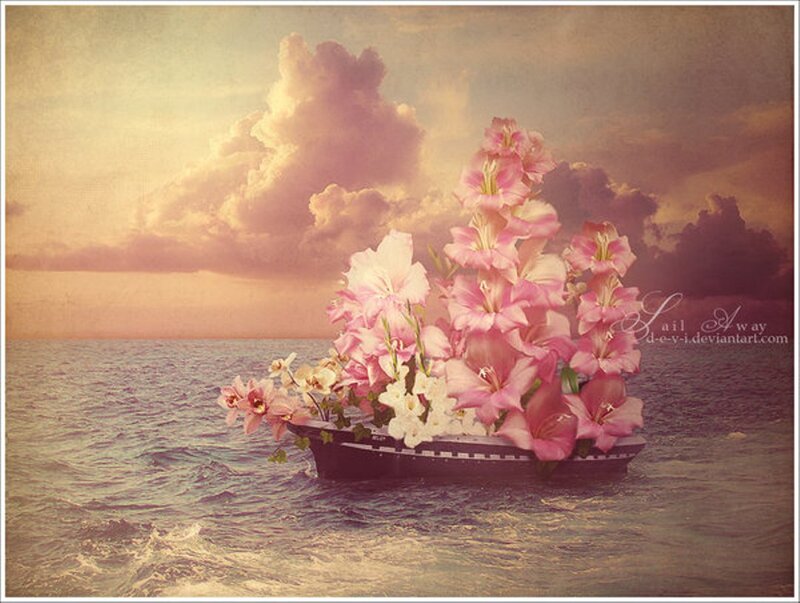 Boat Filled with Flowers