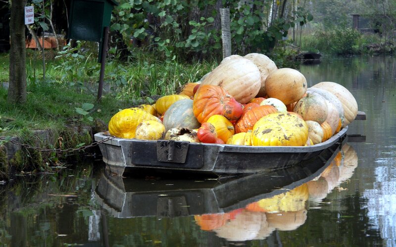 Boat Filled with Pumpkins