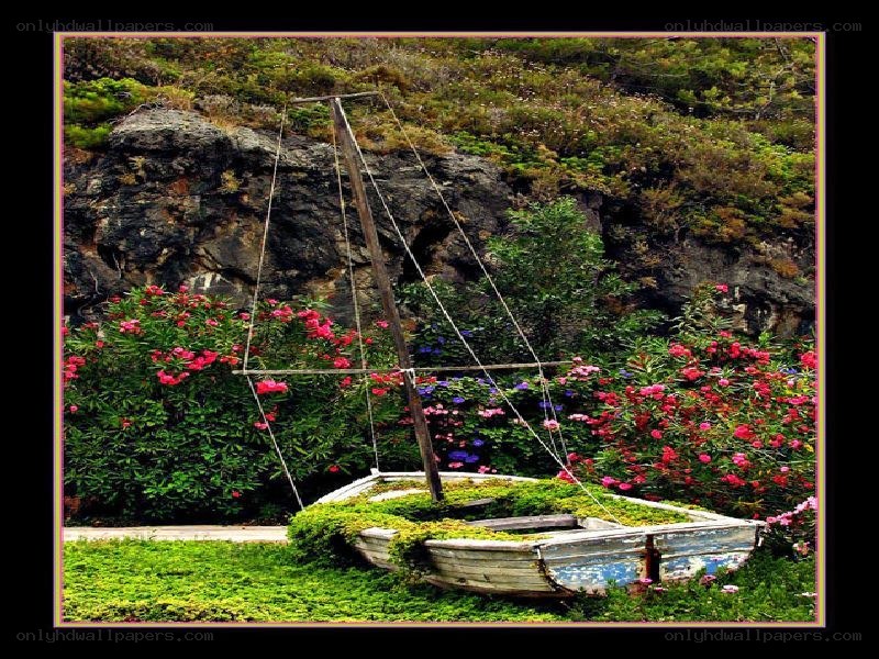 boat in a flower garden
