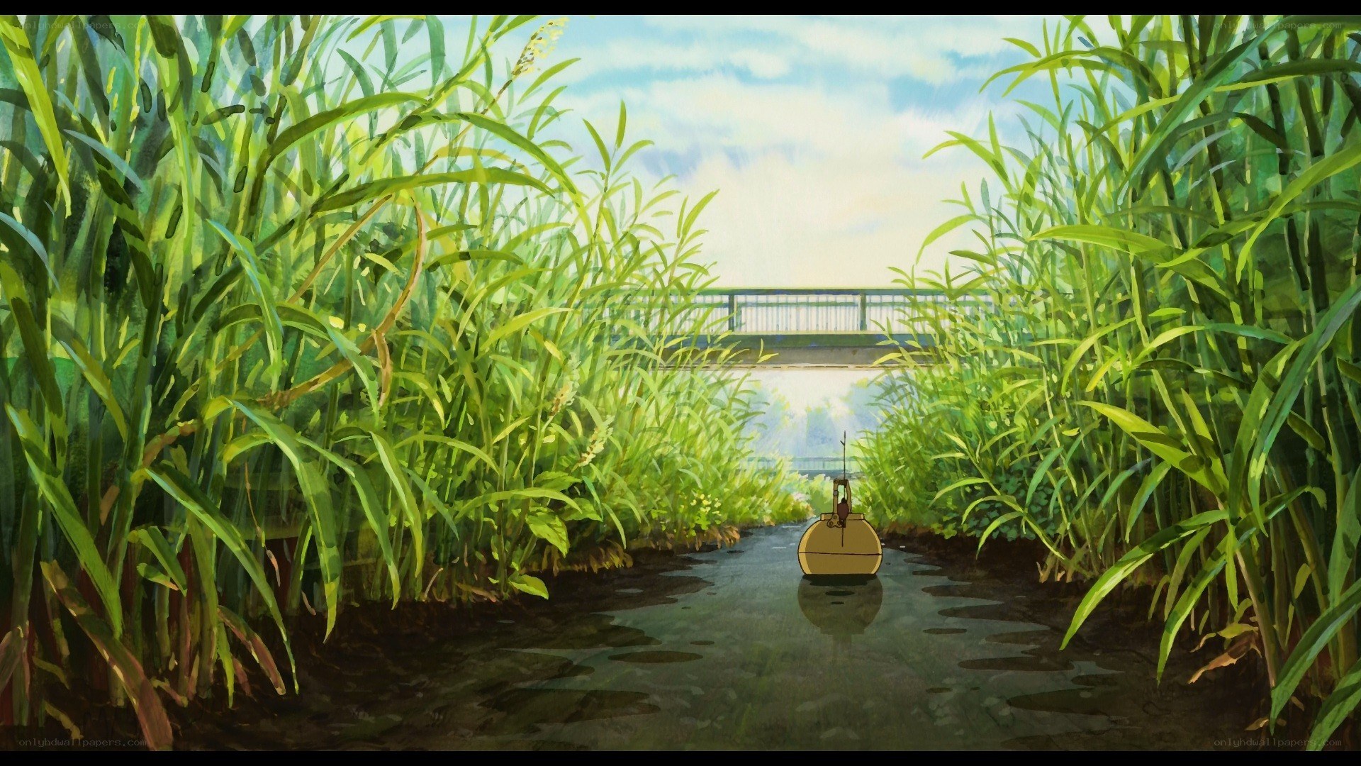 boat in a reed-lined canal