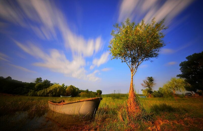 Boat in Grassy Field