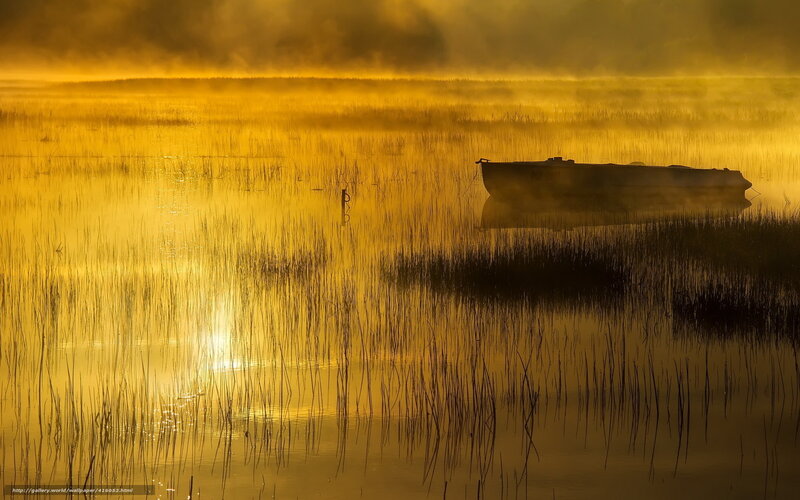 Boat in misty golden marsh