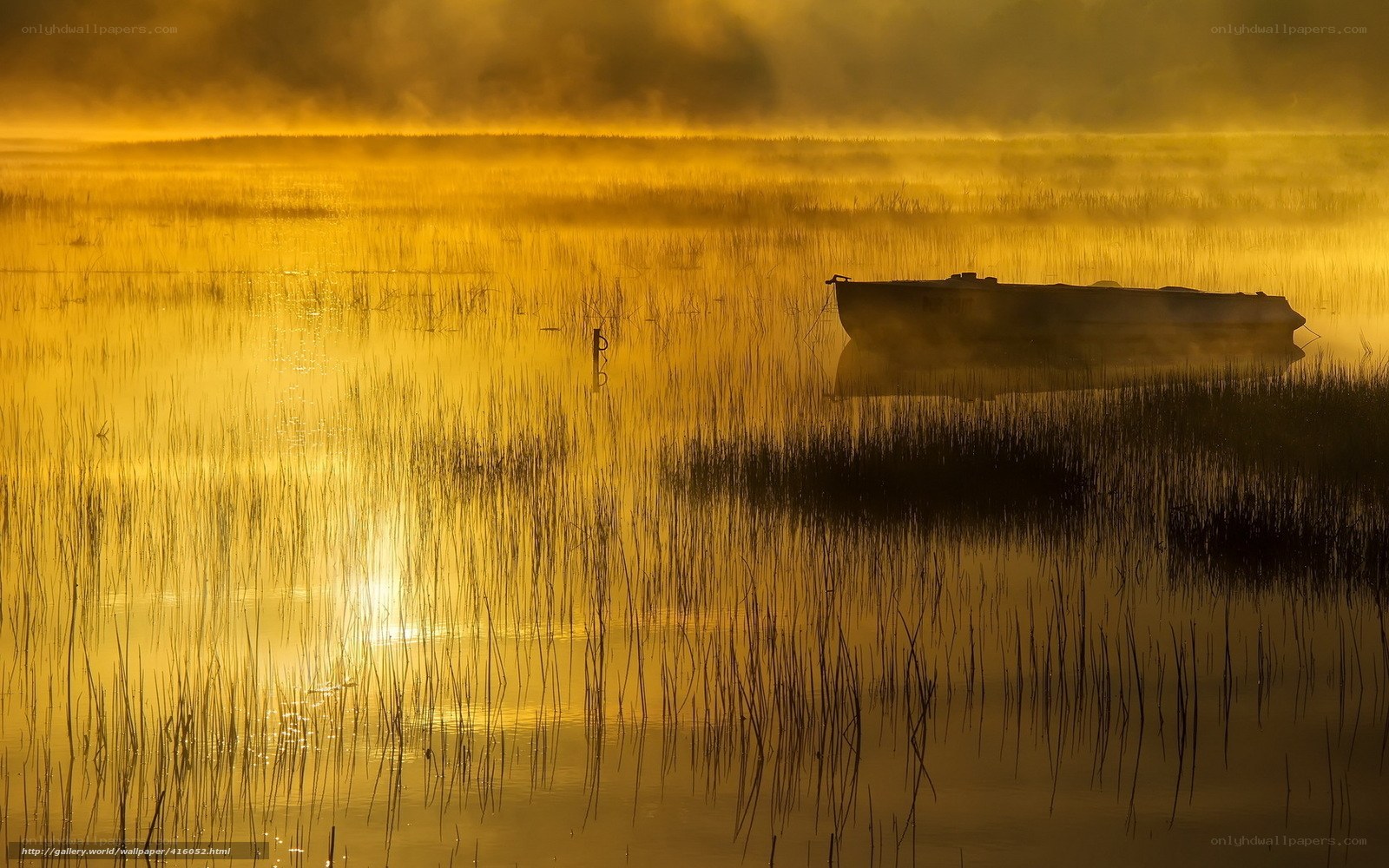 Boat in misty golden marsh