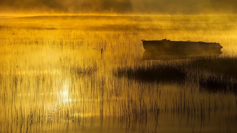 Boat in Misty Marsh