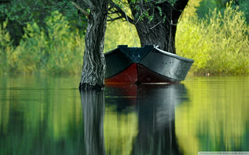 Boat moored by a tree
