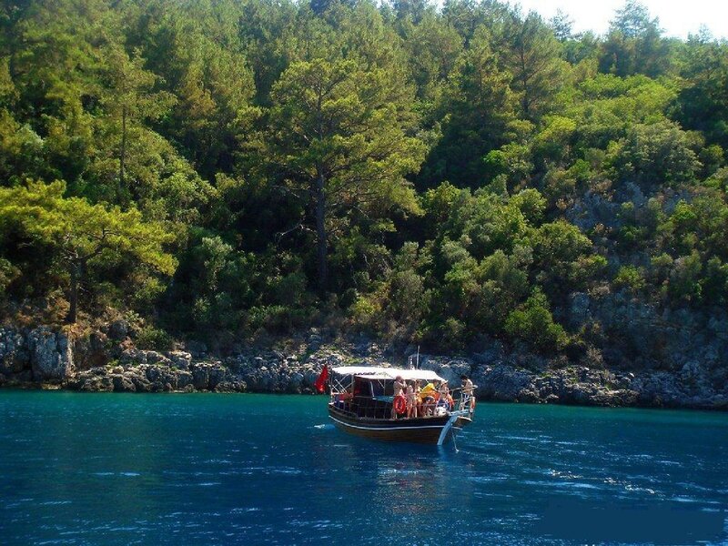 Boat near forested coast