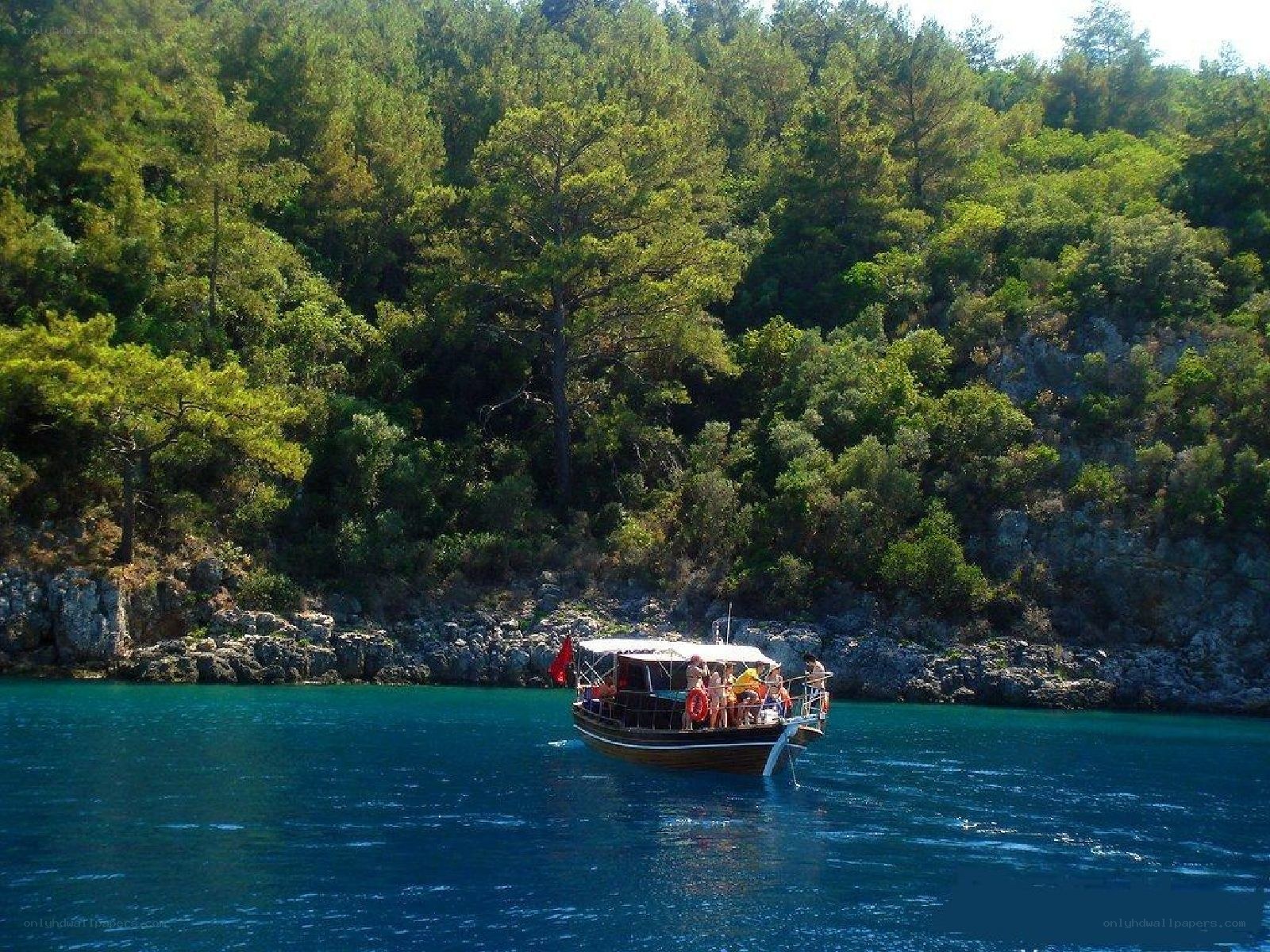 Boat near forested coast